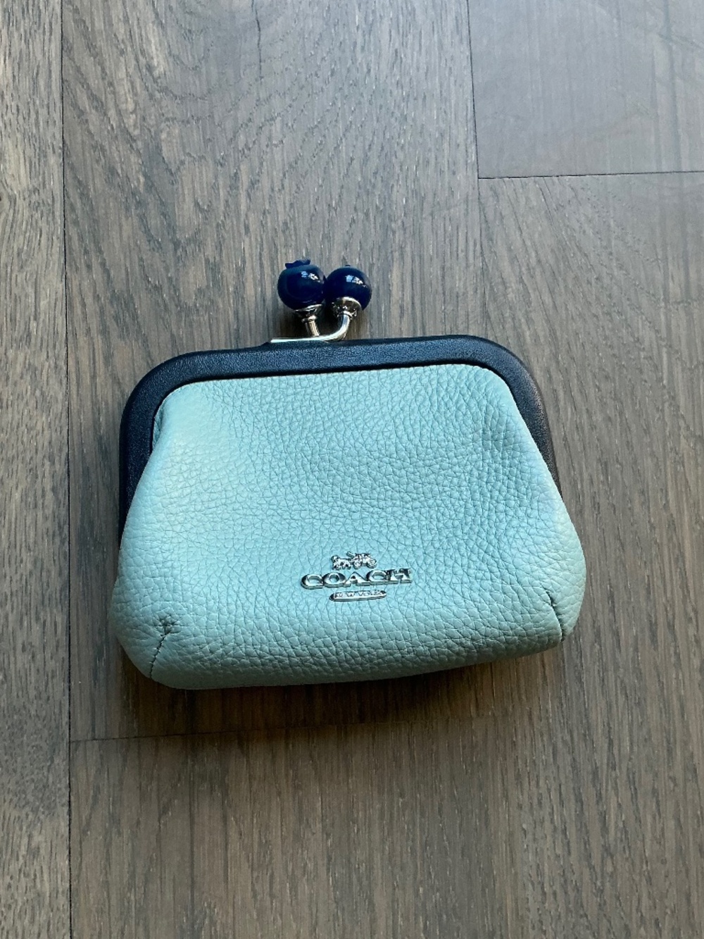 Blueberry coach Nora kisslock pouch